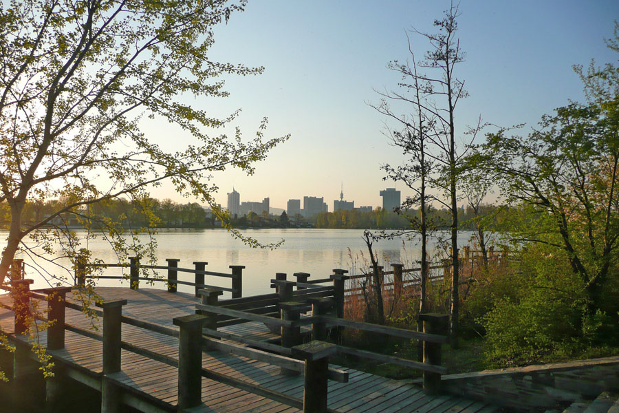 Alte Donau / Vienna International Center